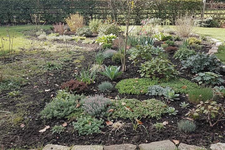 Before and after layered planting thumbnail